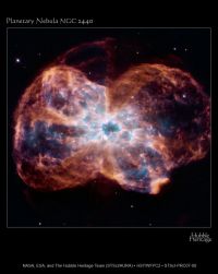 La taille du soleil par rapport aux autres étoiles