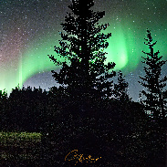 <font class="tempImageTitleThumbText">Aurora In The Pines</font><br>Christopher Mathews<br>Nov 26 12:22pm<br>Hagavík, southern Iceland