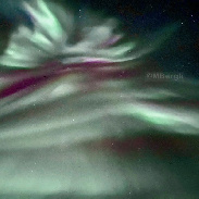 <font class="tempImageTitleThumbText">Aurora </font><br>Marianne Bergli <br>Nov 26 3:33am<br>Kvaløya, Tromso, Norway 