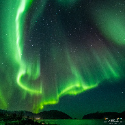 <font class="tempImageTitleThumbText">Incoming Solar With, Very Bright Auroras </font><br>Markus Varik<br>Nov 19 3:47am<br>Tromsø Norway