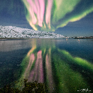 <font class="tempImageTitleThumbText">Pink Auroras, Some Of The Best Ones So Fa</font><br>Markus Varik<br>Dec 11 1:20am<br>Tromsø Norway