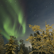 <font class="tempImageTitleThumbText">Early Evening Auroras</font><br>Sacha Layos<br>Nov 28 10:16am<br>Fairbanks, AK